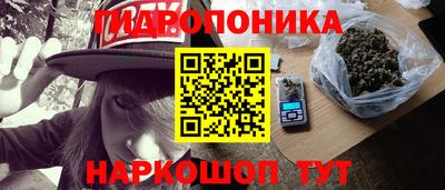 трава Кимры