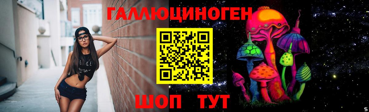 Галлюциногенные грибы Cubensis Дагестанские Огни